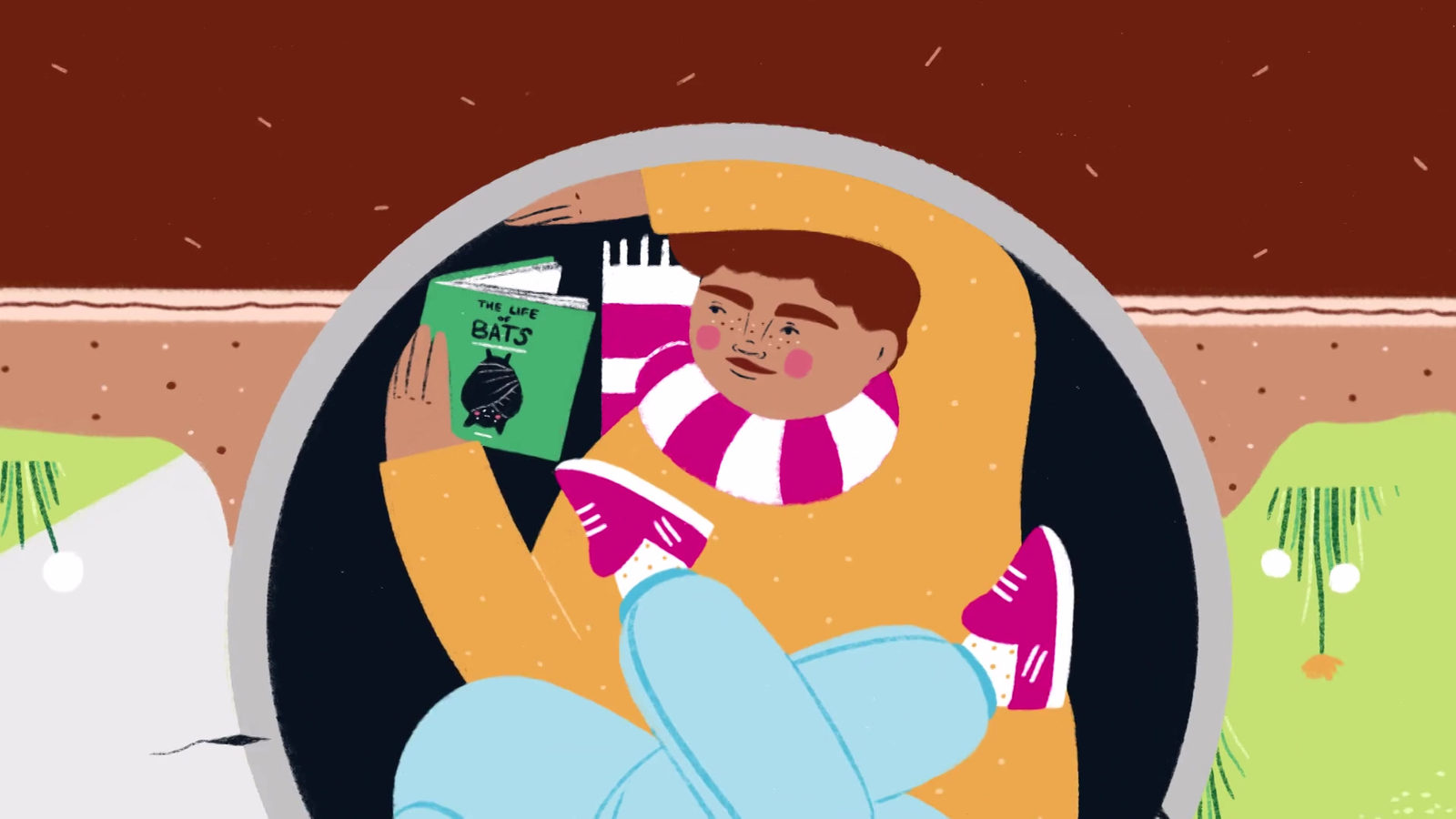 Libraries Ireland : Ireland Reads