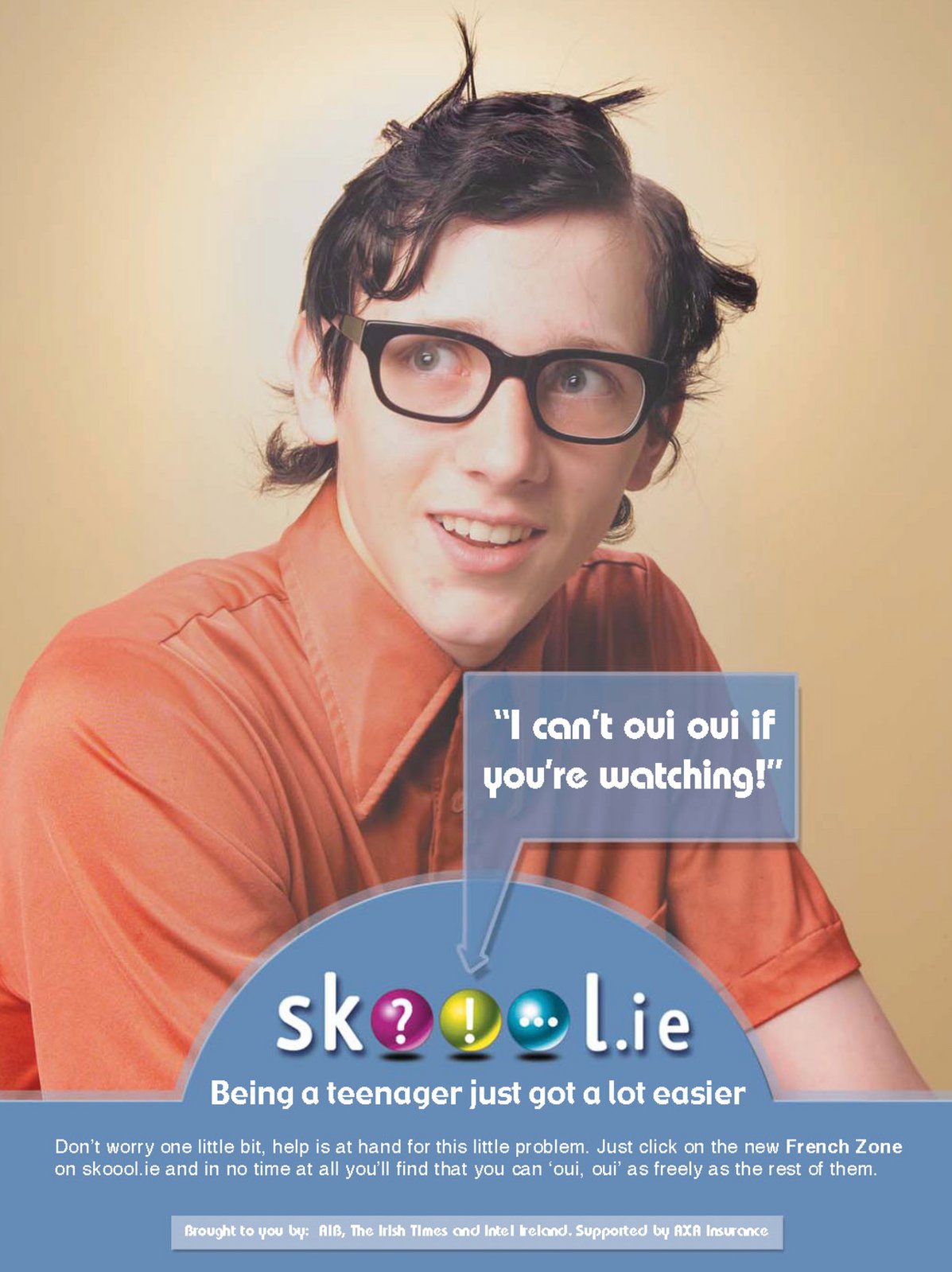Irish Times: Skoool.ie