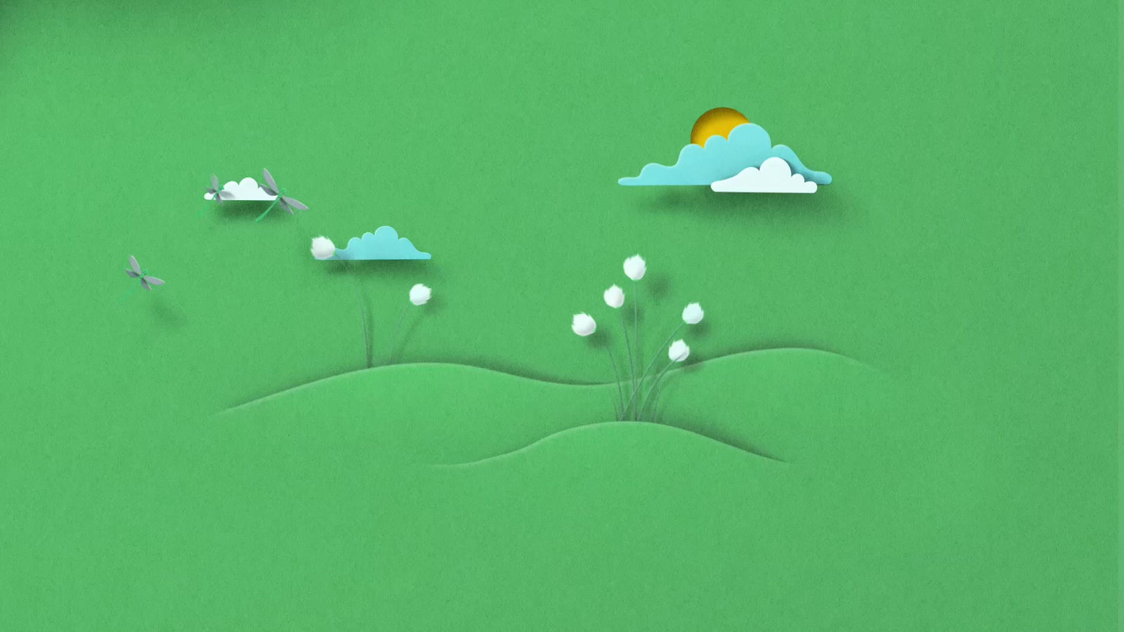 Bord na Móna: Heartland